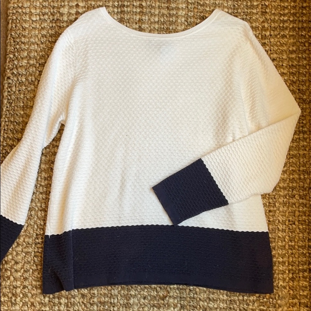 Karen Scott sweater